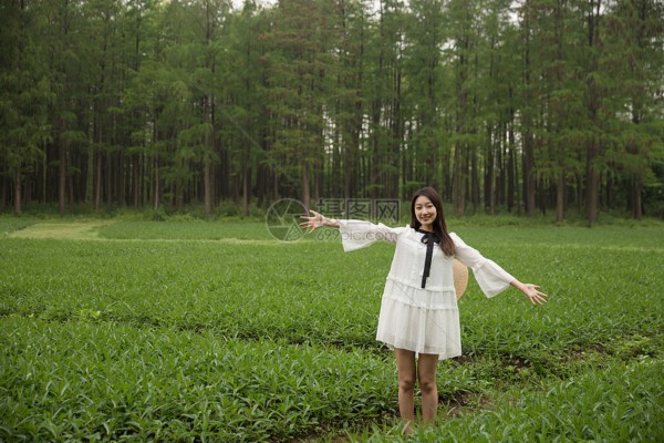 武汉松木桑拿板，打造健康养生新体验